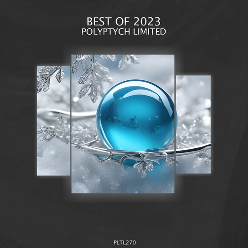 VA - Polyptych Limited - Best of 2023 [PLTL270]